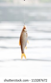 fish hanging on a hook on a background of water