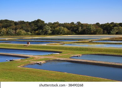 Fish Hatchery