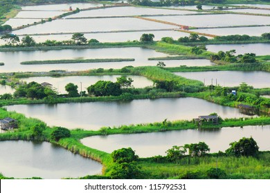 Fish Hatchery Pond