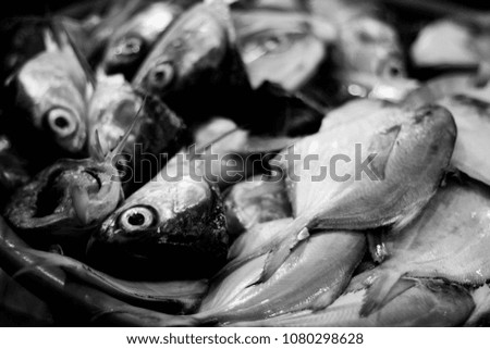 Similar – Image, Stock Photo show teeth Food Fish