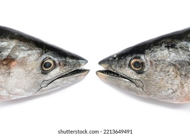 Fish Head On The White Background