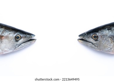 Fish Head On The White Background