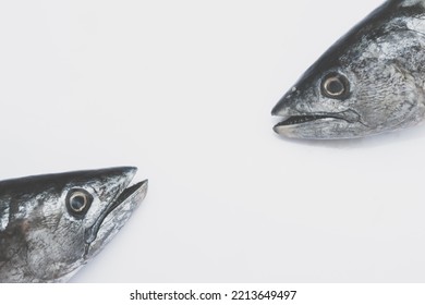 Fish Head On The White Background