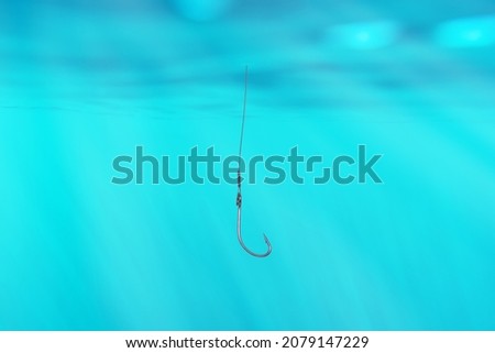 Similar – Image, Stock Photo Portuguese galley Animal