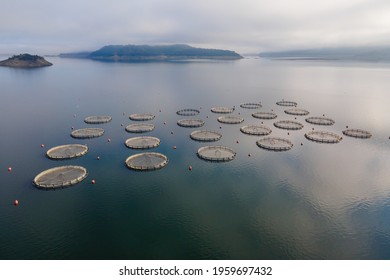 5,637 Aquaculture Cages Images, Stock Photos & Vectors 