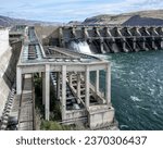 Fish Ladder at John Day Dam provides passage upstream for Salmon, Steelhead, Sturgeon, and Eel in the Columbia River.