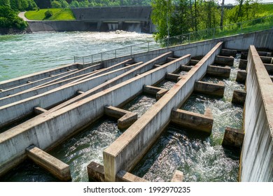 fish ladder for migration of spawning fish in river stream