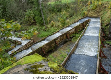 Fish ladder for migration of spawning fish in river stream. Latvia. 