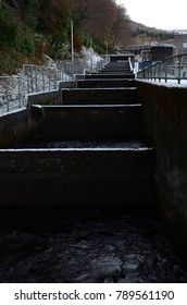 Fish Ladder On River Tummel