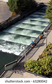 Fish Ladders Bonneville Dam, Oregon.