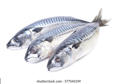 Fish Mackerel