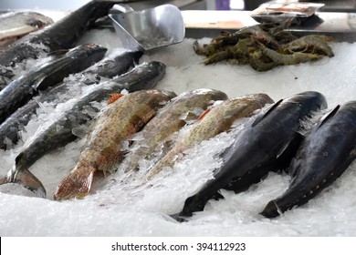 Fish Market