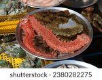 Fish market in Busan, South Korea. Live California sea cucumber (Apostichopus californicus) at Jagalchi Fish Market.