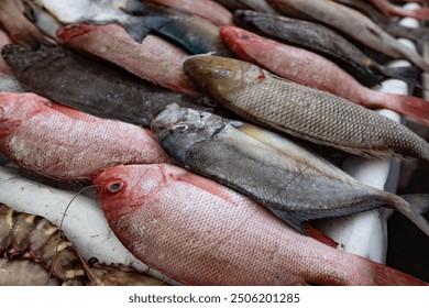 Fish market counter in Kota Kinabalu Borneo Malaysia - Powered by Shutterstock