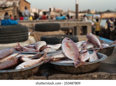 Fish Market In Dakar, Senegal