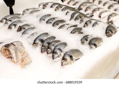 The Fish Market Is Frozen In A Super Market. Fish In Ice