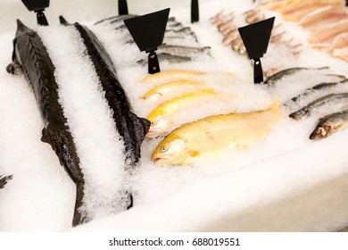 The Fish Market Is Frozen In A Super Market. Fish In Ice