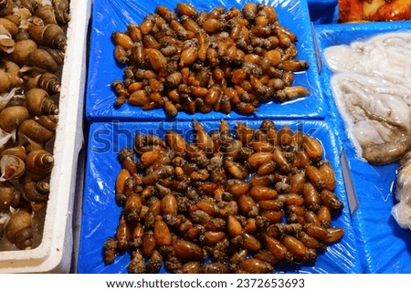 Fish market in Seoul, South Korea. Stalked sea squirts (Styela clava) - shellfish at Noryangjin Fish Market.