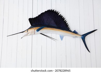 5,278 Fake Fish Images, Stock Photos & Vectors | Shutterstock