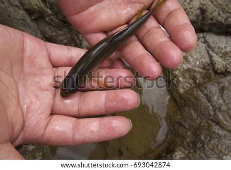 fish on hands