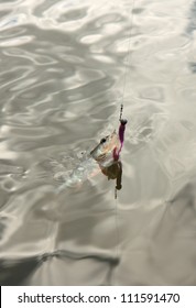 A fish on a hook