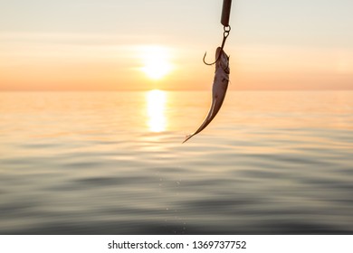 Fish on a hook on the background of the sea, fishing at sunset. Concept of active lifestyle - Shutterstock ID 1369737752