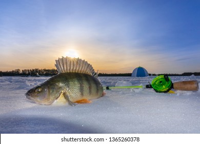 Fish On Winter Fishing