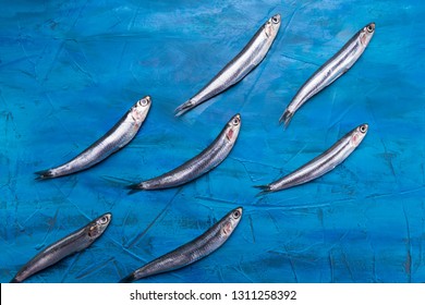 Fish Pattern. Anchovies Are Swimming On A Blue Sea Background.