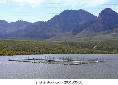 A Fish Pen In A Dam Near Worcester, South Africa. A Trout Farm Drifting On The Surface Of A Dam.