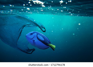 A fish with a plastic bag. Pollution in oceans concept.