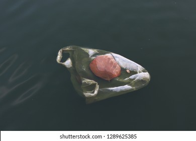Fish and plastic pollution. Envrionmental problem 