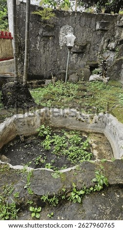 The fish pond has been empty for a long time and is already covered in moss and overgrown with wild plants.