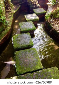 Fish In Pond Japanese Garden Design