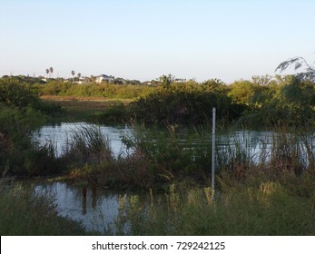 Fish Pond Right Out Side Of A Corpus Christi Park