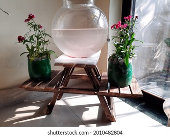 Fish pot at corner with plants