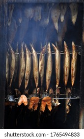 Fish processing plant. Fish of cold (hot) smoked. Smoked Fish In Smokehouse Box. Smoked Mackerel, Close Up Smoking Process Fish For Home Use. Smoked Mackerel, Preparation Of Organic Food.