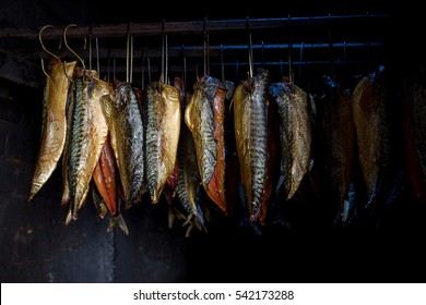 Fish processing plant. Fish of cold (hot) smoked. Smoked Fish In Smokehouse Box. Smoked Mackerel,  Close Up Smoking Process Fish For Home Use. Smoked Mackerel, Preparation Of Organic Food.