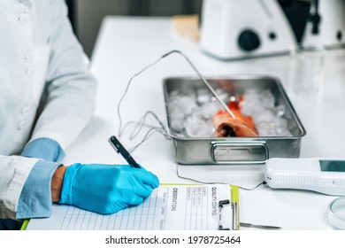 Fish Quality Control - Food Safety Inspector Searching For The Presence Heavy Metals In Wild-caught Sea Fish