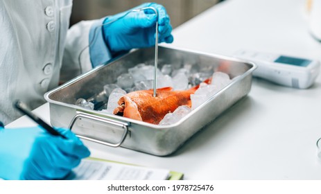 Fish Quality Control - Food Safety Inspector Searching For The Presence Heavy Metals In Wild-caught Sea Fish