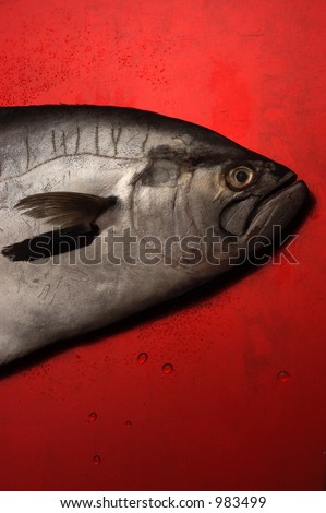 fish red background Foto stock © 