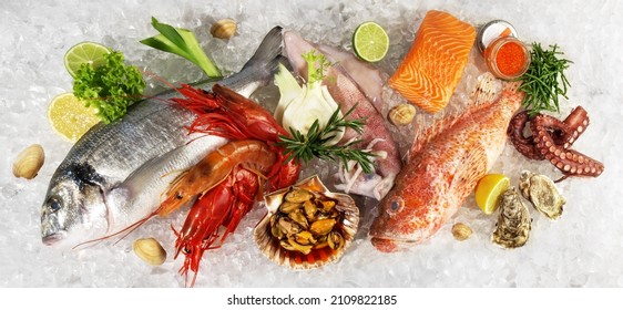 Fish And Sea Food On Ice With Sea Weed, Caviar, Mussels, Oysters And Vegetables Isolated On White Background - Banner