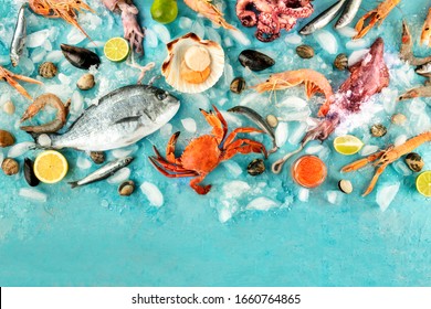 Fish And Seafood Background With A Place For Text, A Flat Lay Overhead Shot. Sea Bream. Shrimps, Crab, Sardines, Squid, Mussels, Octopus And Scallops