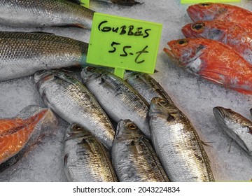 Fish at the seafood counter and price tags with the Turkish name of the fish on them