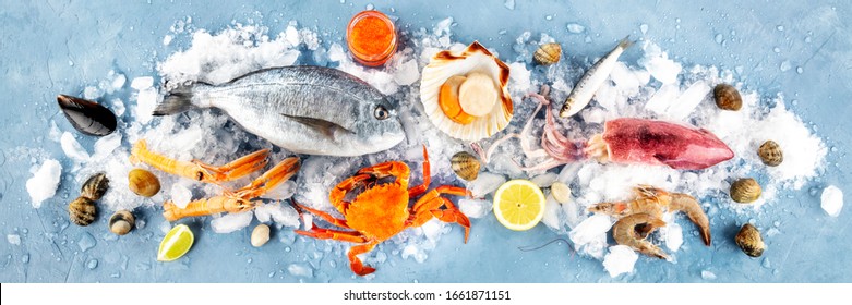 Fish And Seafood Overhead Panoramic Shot. Sea Bream, Scallop, Crab, Squid, Clams And Prawns