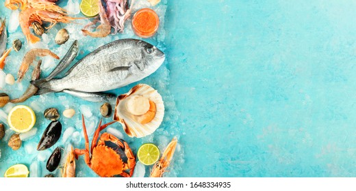 Fish And Seafood Panoramic Overhead Shot With A Place For Text. Sea Bream, Prawns, Sardines, Scallops, And Mussels On A Blue Background