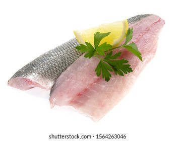 Fish And Seafood - Sea Wolf - Fish Fillet