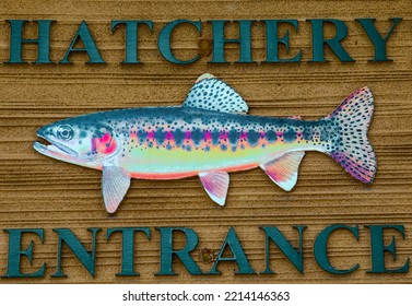 Fish Sign At Fish Hatchery Entrance