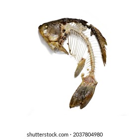 Fish skeleton that was eaten, leftovers of food. Bones crucian carp cut out on white background.