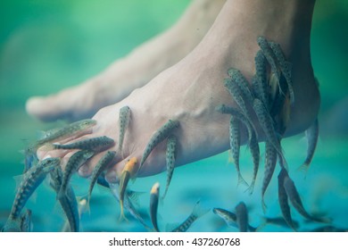 Fish Spa Pedicure