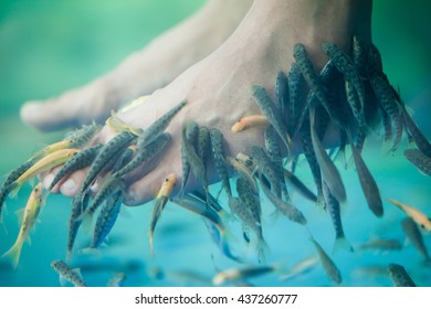 Fish Spa Pedicure.